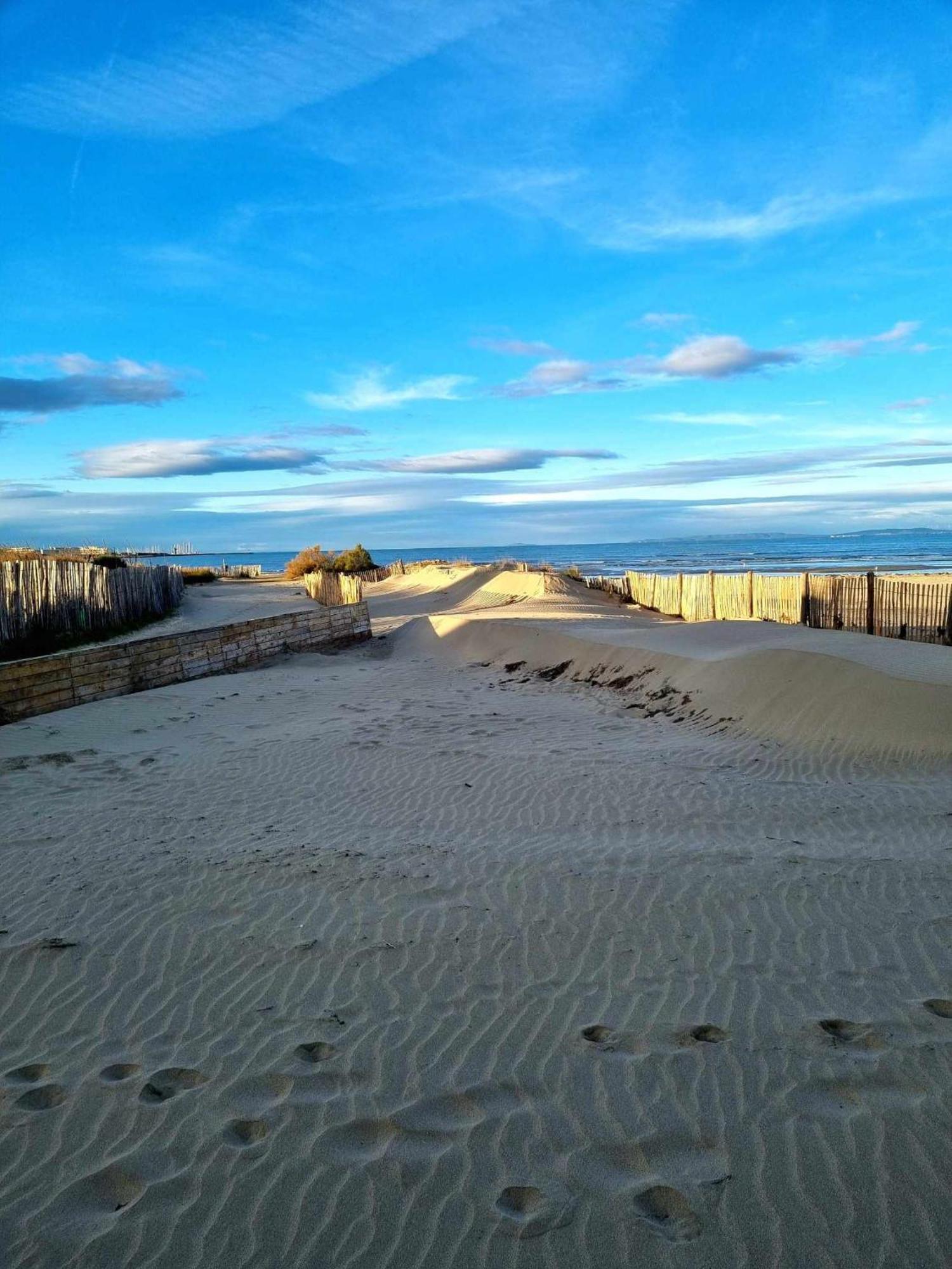 Les Spas De La Mer, Appart&Spa Aloha, 100M De La Plage, Plein Coeur Du Grau 勒格罗-迪鲁瓦 外观 照片